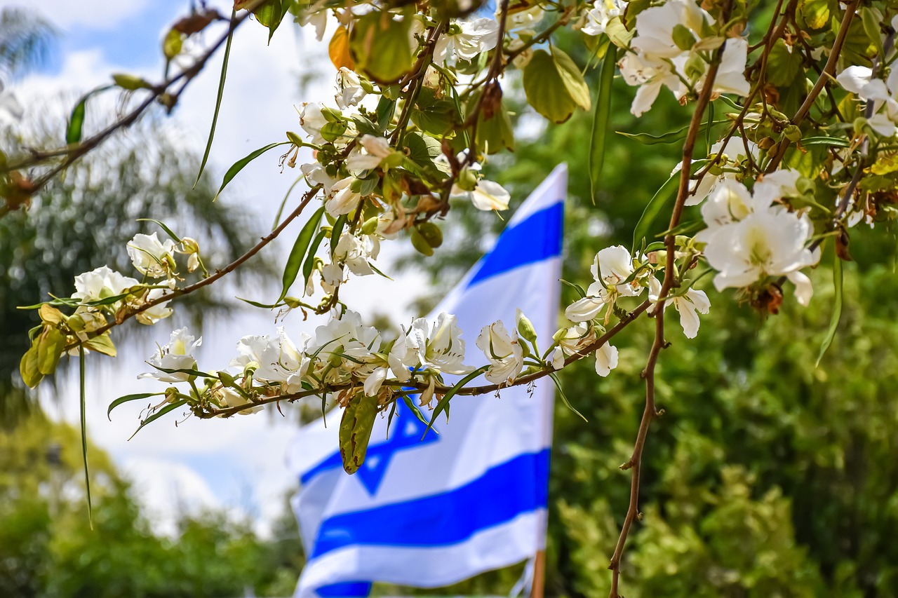 Zdjęcie gałęzi kwitnącej jabłoni a w tle flaga Izraela